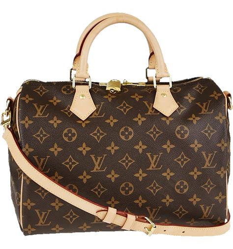 lv speedy sg price|louis vuitton speedy 30 price.